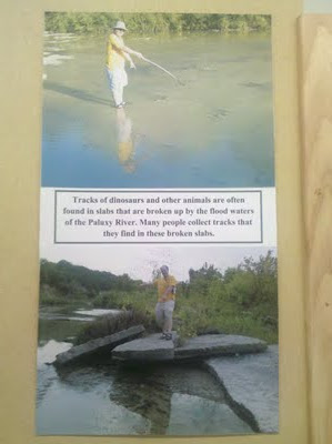 Picture of man pointing at underwater tracks and standing on top of broken slabs. Text reads: Tracks of dinosaurs and other animals are often found in slabs that are broken up by the flood waters of the Paluxy River. Many people collect tracks that they find in these broken slabs.